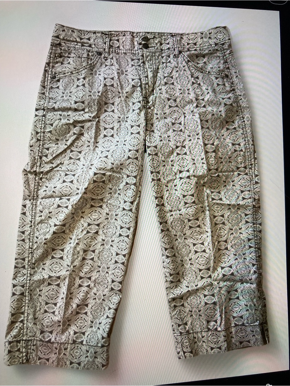 Bandalino Lace-Pattern Medallion Cropped Pants Women’s Size 12 Cream and Silver